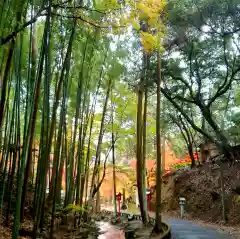 目の霊山　油山寺の建物その他