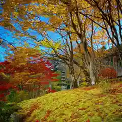 古峯神社の自然