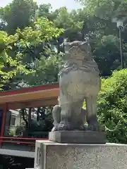 自由が丘熊野神社の狛犬