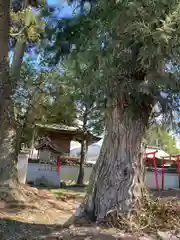 雨祈神社(兵庫県)