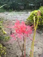 横浜　西方寺の自然