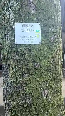 竹下稲荷神社(東京都)