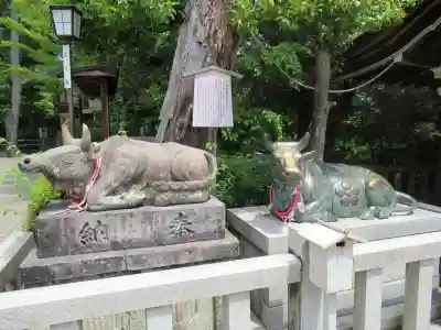 長岡天満宮(京都府)