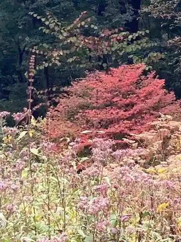 十二山神社(群馬県)