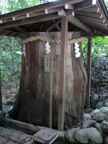 大神神社の自然