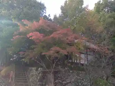 安岡寺(大阪府)