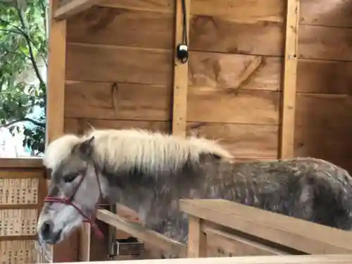 平塚八幡宮(神奈川県)