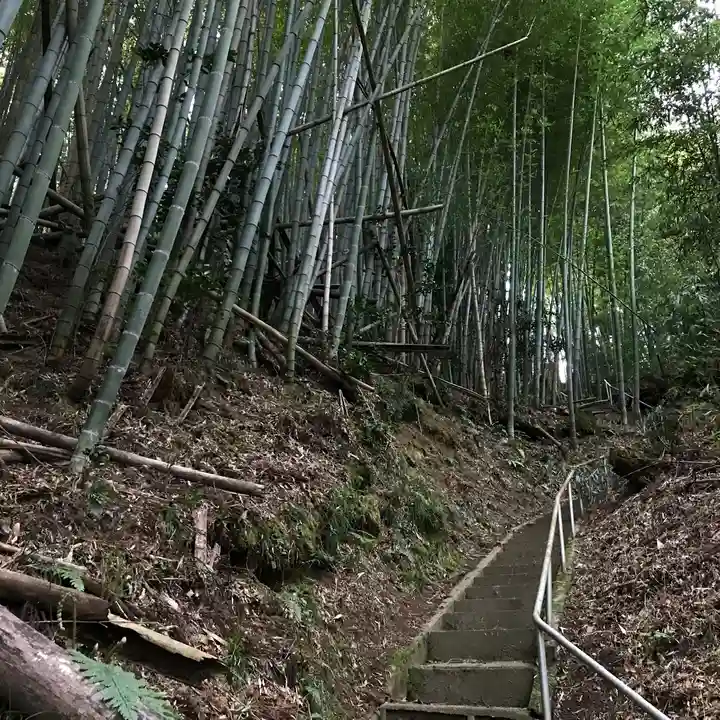 愛宕神社の周辺