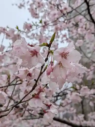 熊野神社(東京都)