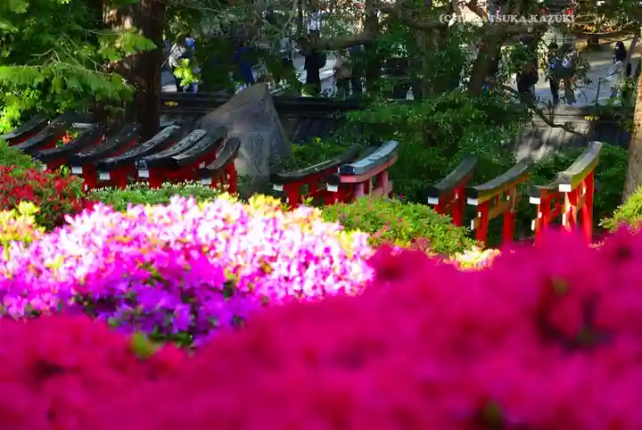 根津神社(東京都)