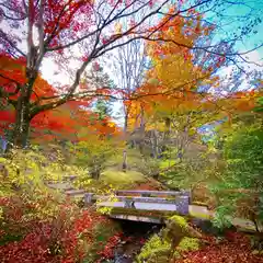 古峯神社の自然