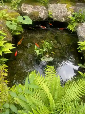 徳善院明王密寺(福島県)