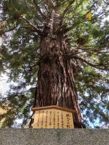 諏訪大社下社秋宮の自然