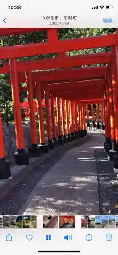 高山稲荷神社(青森県)