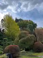 天台宗 長窪山 正覚寺の庭園