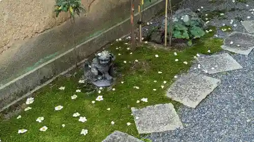 東林院(京都府)