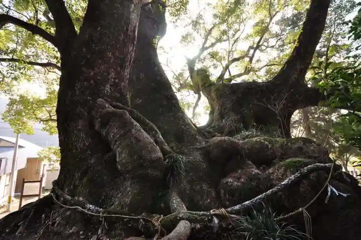 須賀神社(高知県)