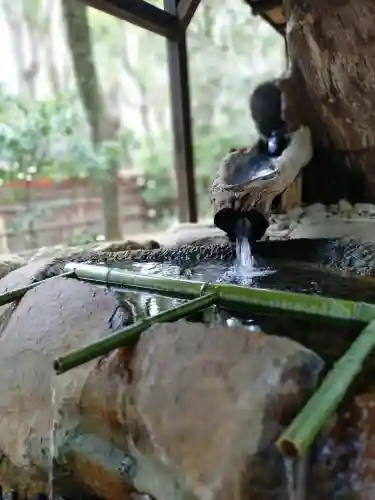 賀茂御祖神社（下鴨神社）の{uncategorized: "未分類", other: "その他", undefined: "問題あり", building: "その他建物", grave: "お墓", sacred_gate: "鳥居", guardian: "狛犬", statue: "像", buddha: "仏像", history: "歴史", nature: "自然", garden: "庭園", animal: "動物", pagoda: "塔", temizu: "手水舎", mountain_gate: "山門・神門", sanctuary: "本殿・本堂", subordinate: "末社・摂社", art: "芸術", scenery: "景色", jizo: "地蔵", ema: "絵馬", goshuin: "御朱印", omikuji: "おみくじ", items: "授与品その他", amulet: "お守り", goshuincho: "御朱印帳", eats: "食事", festival: "お祭り", votive_dance: "神楽", shichigosan: "七五三参", wedding: "結婚式", experience: "体験その他", initially: "初詣", around: "周辺", anti_infection: "感染症対策"}