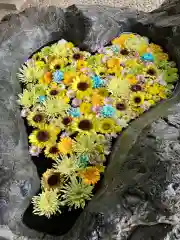 月寒神社の手水