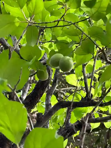 布多天神社(東京都)