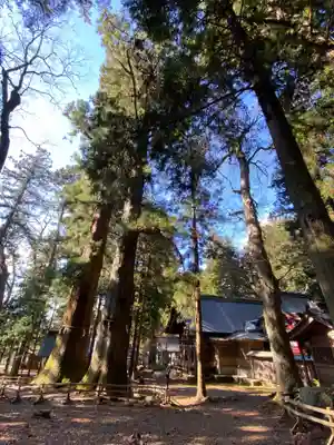河口浅間神社のその他建物