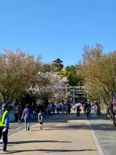 針綱神社の周辺