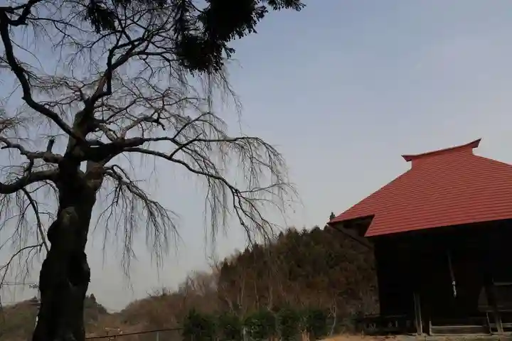 正観音堂の本殿・本堂