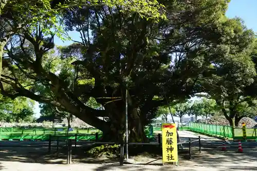 加藤神社の庭園