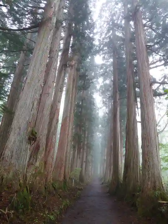 戸隠神社九頭龍社(長野県)