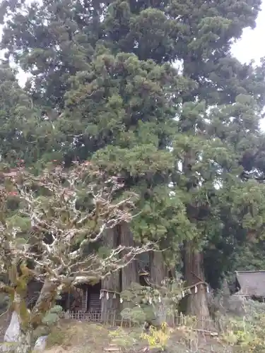 金剛三昧院のその他建物