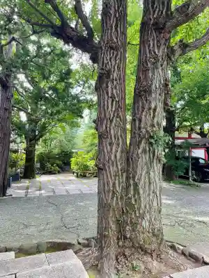 大吉寺(東京都)