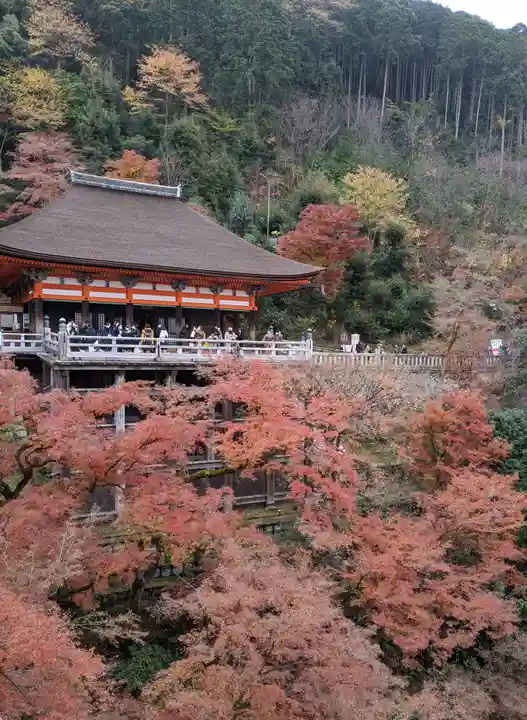 清水寺(京都府)