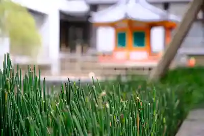 頂法寺（六角堂）のその他建物