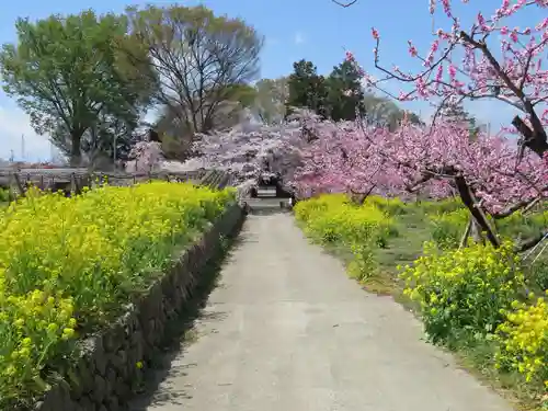 慈眼寺の自然