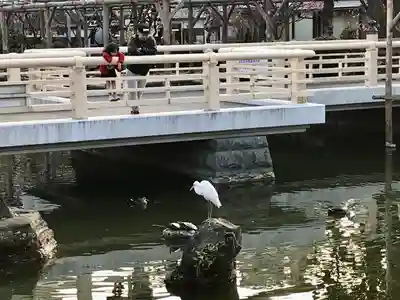 亀戸天神社のその他建物