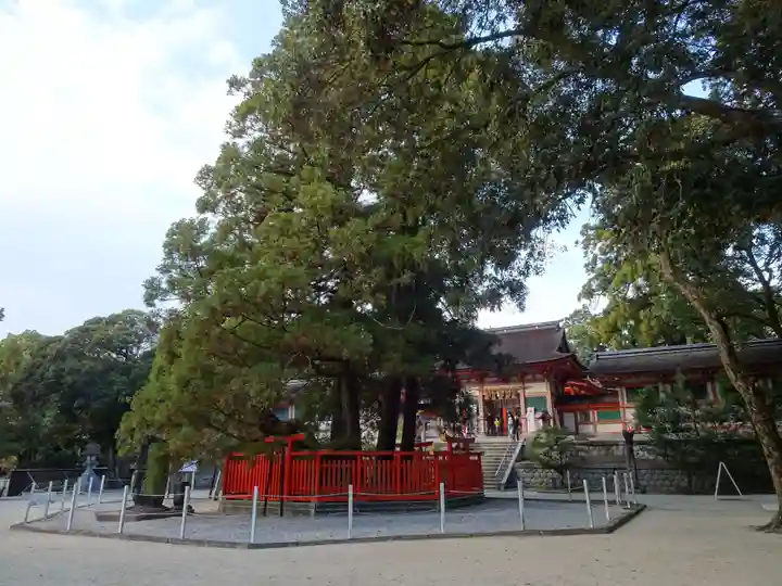 香椎宮のその他建物