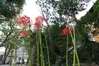 阿邪訶根神社の庭園