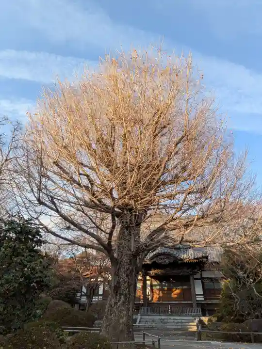 高円寺(東京都)