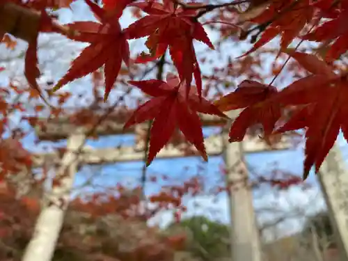 宝満宮竈門神社の自然