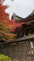 鍬山神社(京都府)