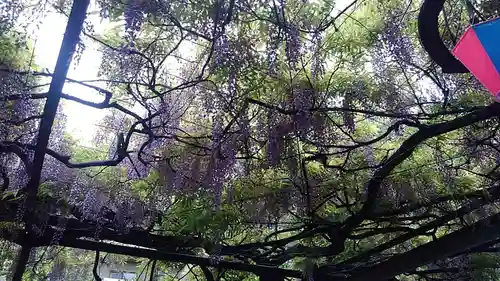 國領神社の庭園