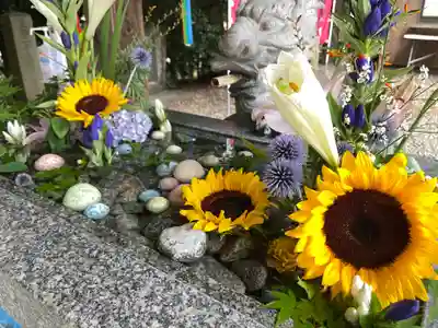 滑川神社 - 仕事と子どもの守り神の手水舎