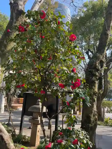 愛宕神社の{uncategorized: "未分類", other: "その他", undefined: "問題あり", building: "その他建物", grave: "お墓", sacred_gate: "鳥居", guardian: "狛犬", statue: "像", buddha: "仏像", history: "歴史", nature: "自然", garden: "庭園", animal: "動物", pagoda: "塔", temizu: "手水舎", mountain_gate: "山門・神門", sanctuary: "本殿・本堂", subordinate: "末社・摂社", art: "芸術", scenery: "景色", jizo: "地蔵", ema: "絵馬", goshuin: "御朱印", omikuji: "おみくじ", items: "授与品その他", amulet: "お守り", goshuincho: "御朱印帳", eats: "食事", festival: "お祭り", votive_dance: "神楽", shichigosan: "七五三参", wedding: "結婚式", experience: "体験その他", initially: "初詣", around: "周辺", anti_infection: "感染症対策"}