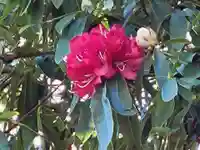 天宮神社の自然