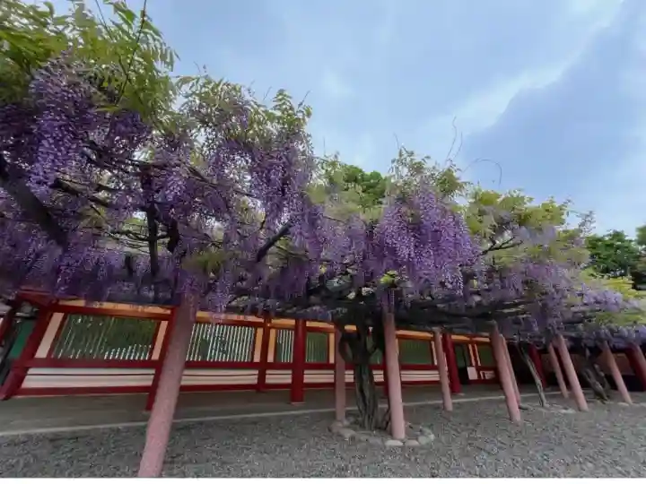 日枝神社(東京都)