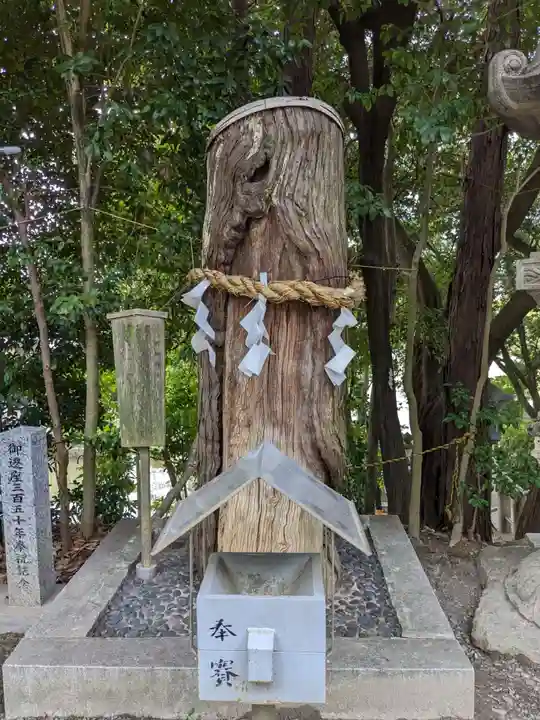 白山神社(二子町)の自然