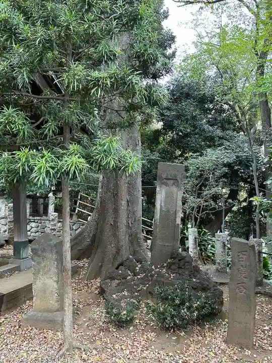 駒繋神社(東京都)