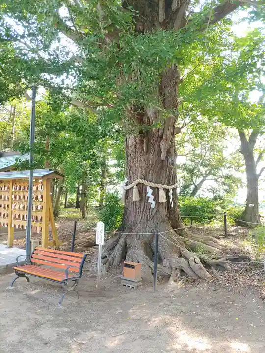 白子神社(千葉県)