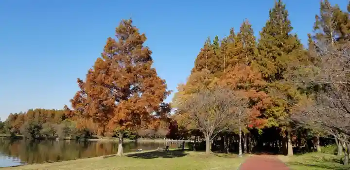 徳島稲荷神社(埼玉県)