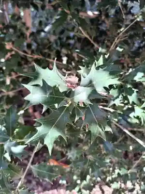 神炊館神社 ⁂奥州須賀川総鎮守⁂(福島県)